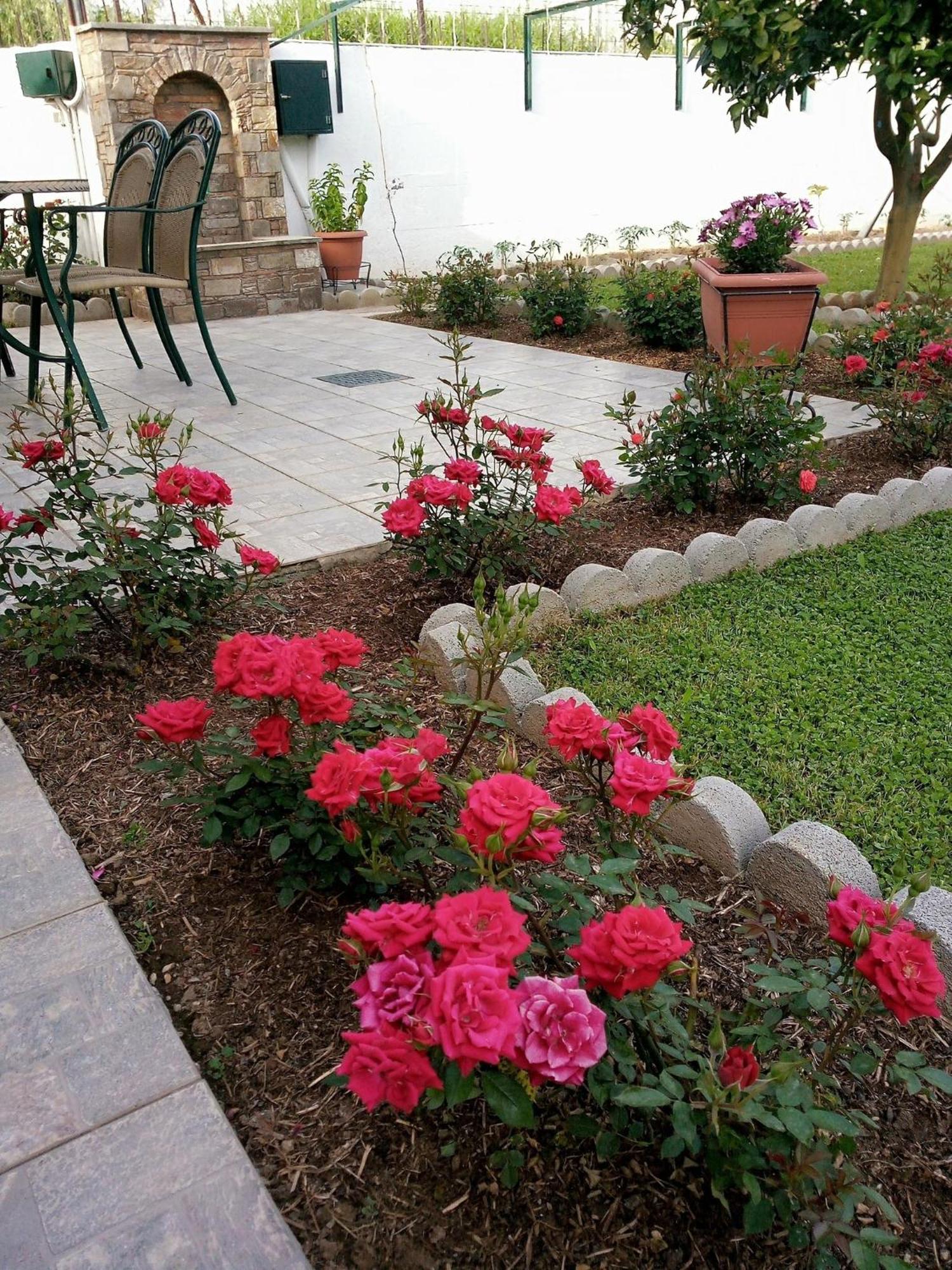 4 Seasons Paradise Near Athens Airport 2 Apartment *