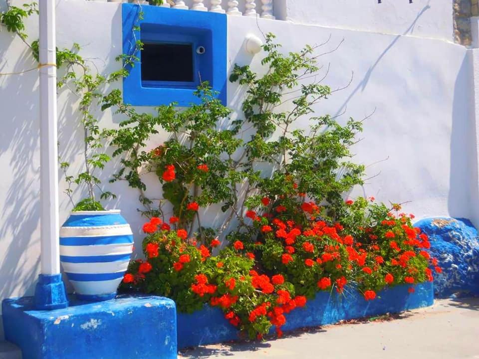 4 Seasons Paradise Near Athens Airport 2
