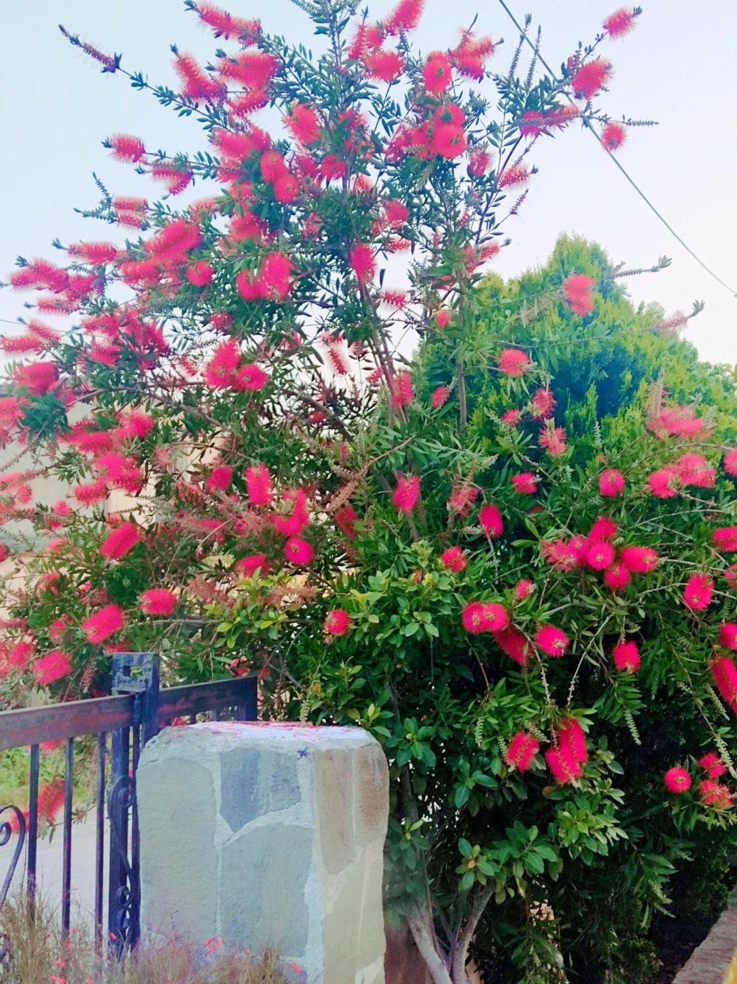 4 Seasons Paradise Near Athens Airport 2 Apartment *